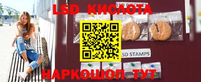 индика Кандалакша