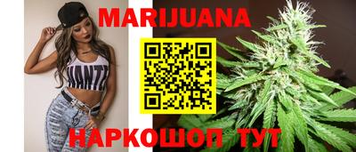 индика Кандалакша