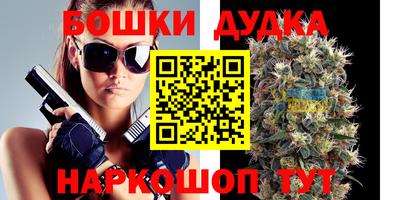 индика Кандалакша