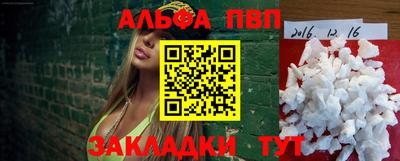индика Кандалакша