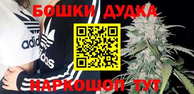 индика Кандалакша