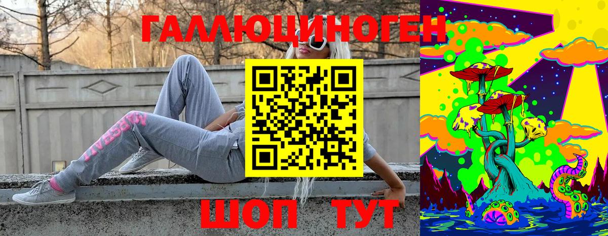 Галлюциногенные грибы Psilocybine cubensis  Вход с VPN  где можно купить наркотик  Королёв 