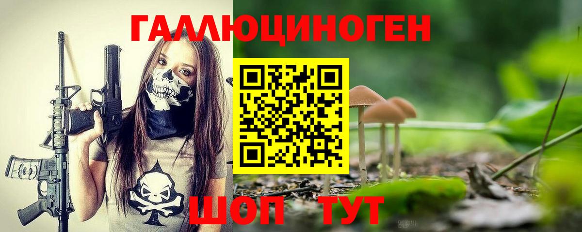 Псилоцибиновые грибы мицелий Королёв